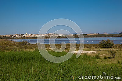 Lagoon. Stock Photo